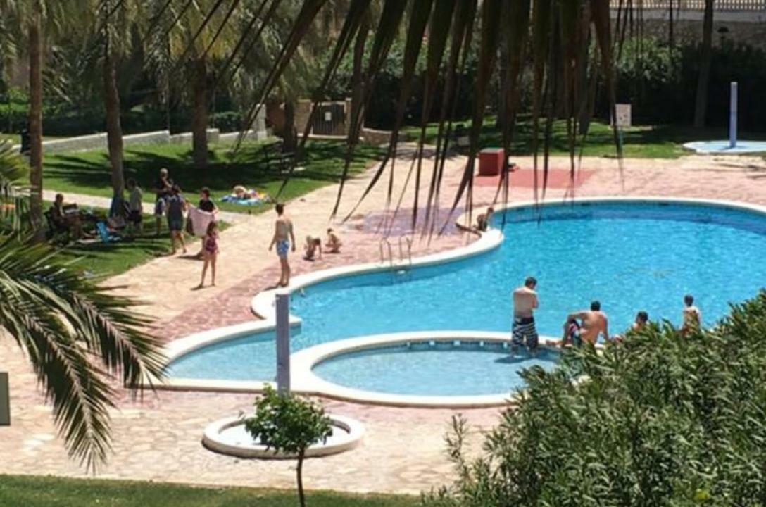 Alicante Plage Muchavista Vu Mer Piscine ,Wifi Exteriör bild